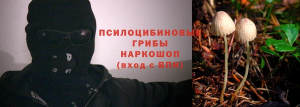 МДПВ Зеленодольск