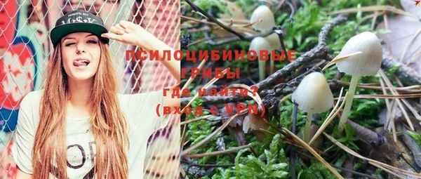 apvp Зеленокумск