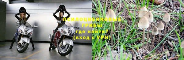 apvp Зеленокумск