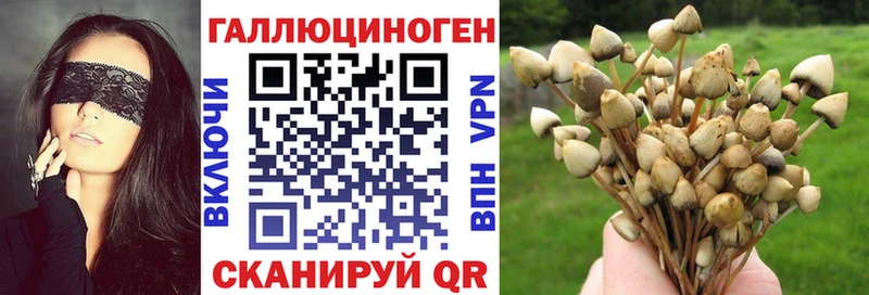 Купить закладки Гремячинск Псилоцибиновые грибы мицелий